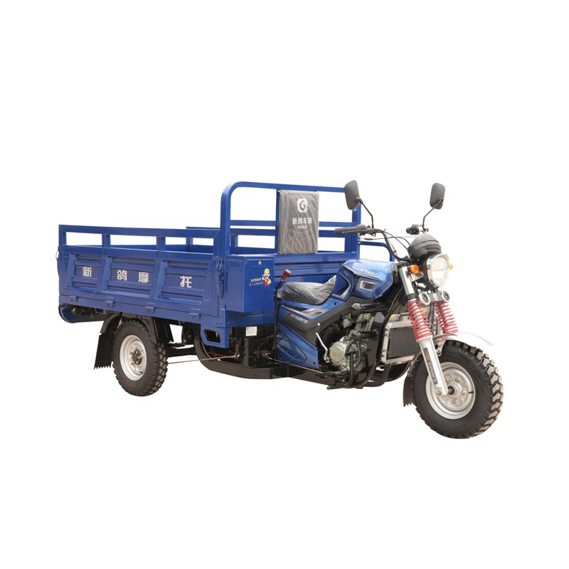 Motore 200cc Triciclo a Benzina Super Potente