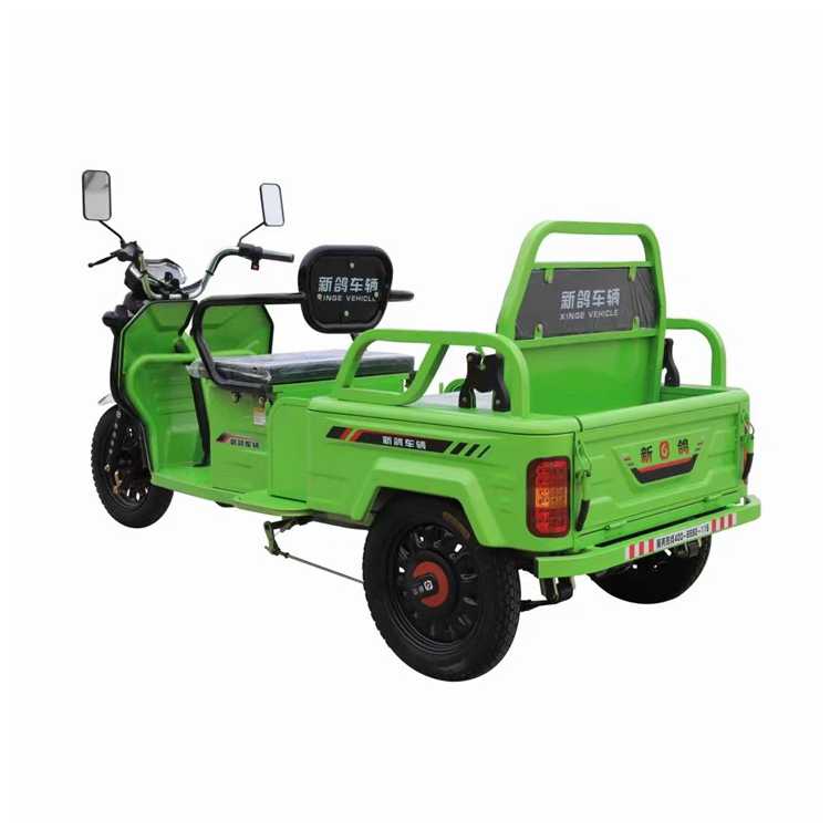 Nuovo modello elettrico Mini Truck Tricycle