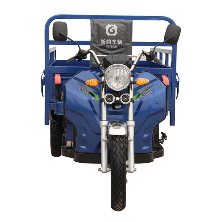 Nuovo modello di carico elettrico Cargo Tricycle