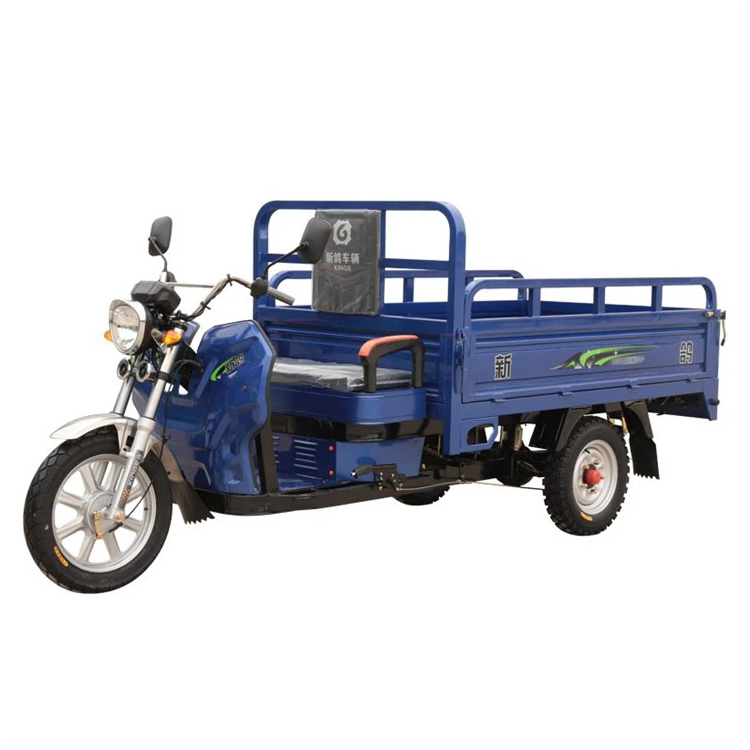 Nuovo modello di carico elettrico Cargo Tricycle