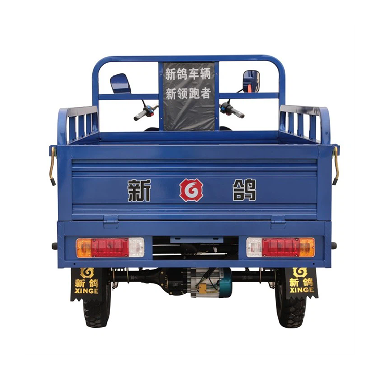 Nuovo modello di carico elettrico Cargo Tricycle
