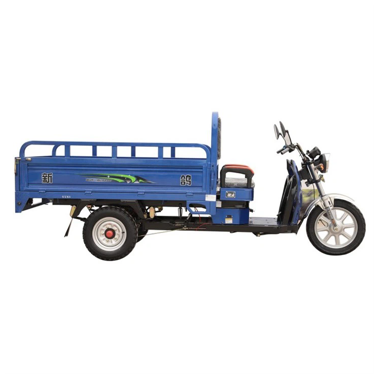 Nuovo modello di carico elettrico Cargo Tricycle